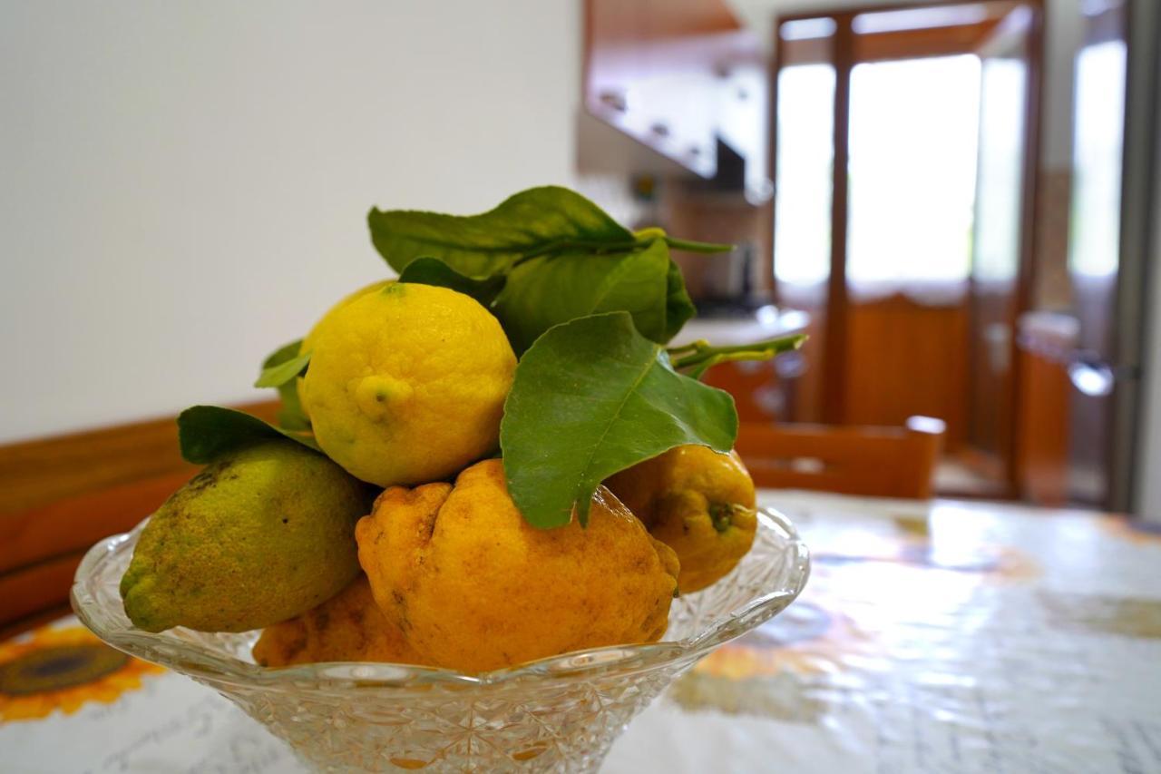 Milou'S House Apartment Sant'Agnello Bagian luar foto